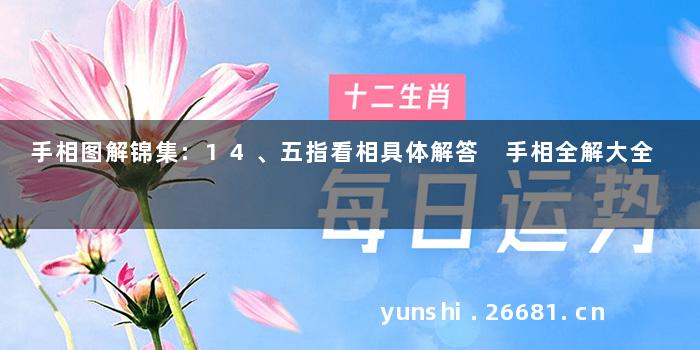 手相图解锦集:14、五指看相具体解答 手相全解大全